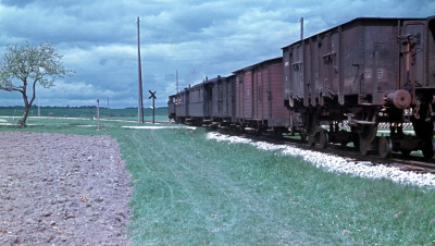 Der typische Dampfzug der Härtsfeldbahn war ein PmG, hier 1956 bei Zöschlingsweiler