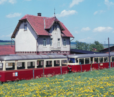 Erlebnisse in Dischingen