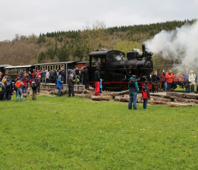 Around the train ride