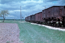 Der typische Dampfzug der Härtsfeldbahn war ein PmG, hier 1956 bei Zöschlingsweiler