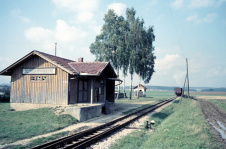 Der Zug isch äbe naus! Bahnhof Ziertheim, Sommer 1956