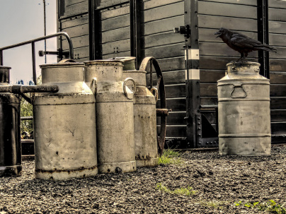 Rabenschlauer Eingriff in den Betriebsablauf