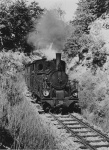 Lok WN 11 im Einschnitt am Albaufstieg kurz vor dem Bahnhof Höllhau, ca. 1961